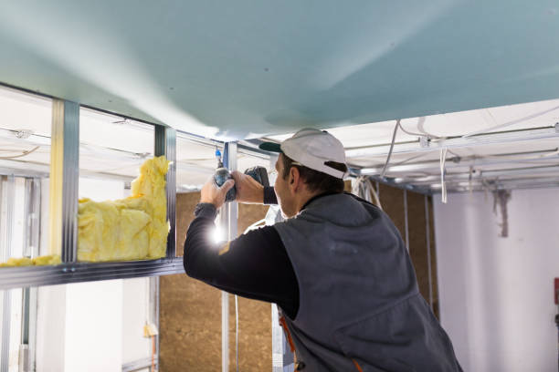 Best Insulation Contractors for Homes  in North Charleston, SC