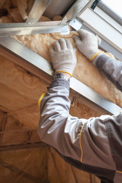 Insulation Inspection Services in North Charleston, SC